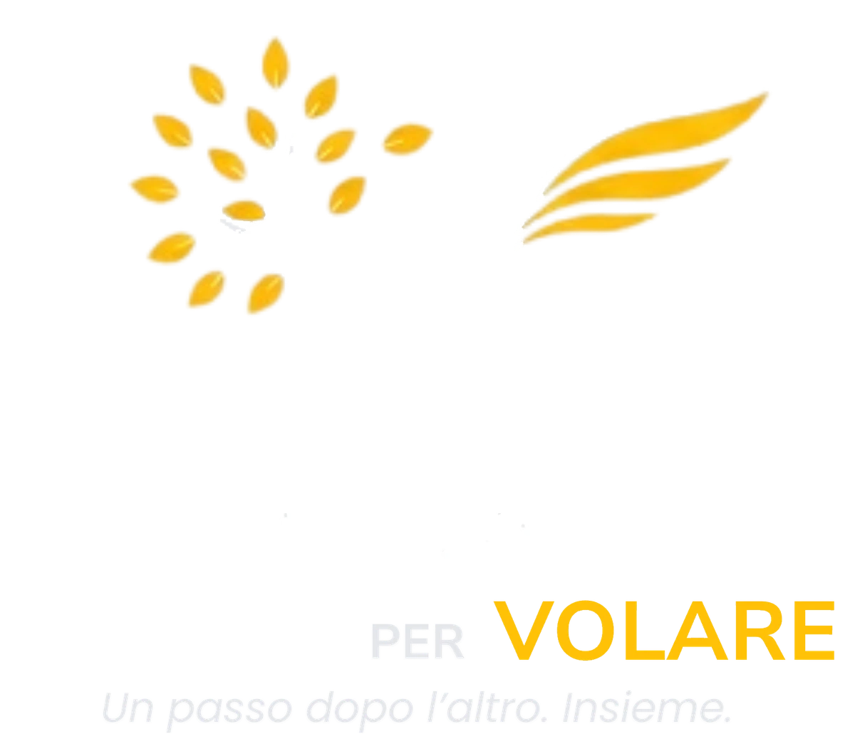 Valori per volare – Un passo dopo l’altro. Insieme.