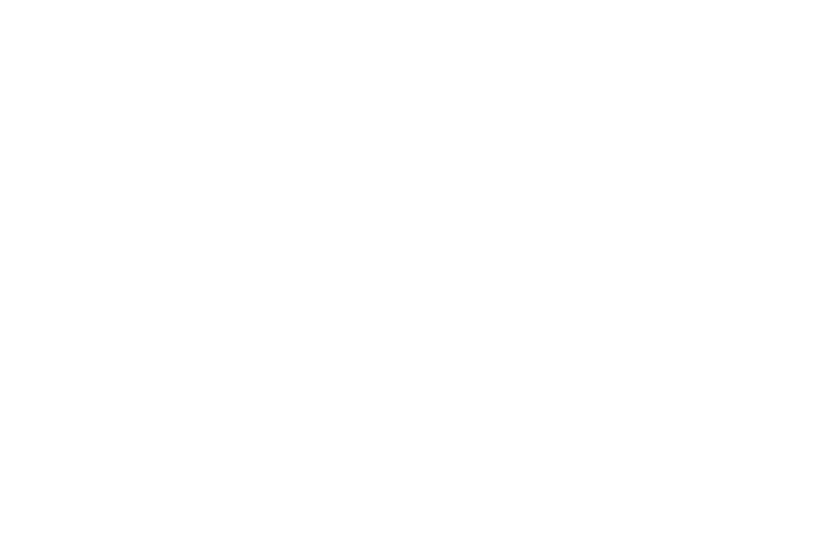 Con il patrocinio – Centro di Servizio per il Volontariato di Verona (CSV Verona)