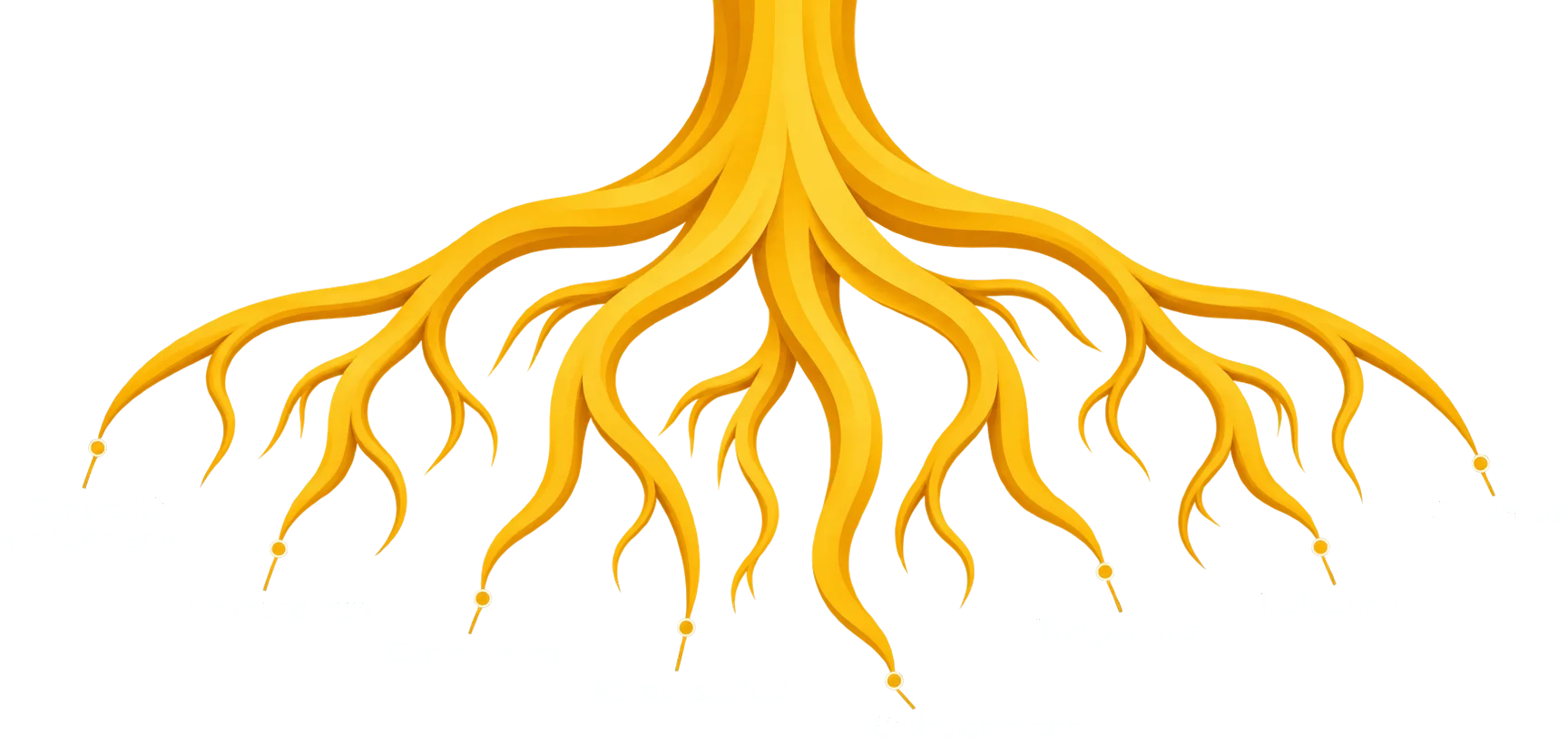 Le radici dei nostri otto valori: centralità della persona, indipendenza, competenza, responsabilità, collaborazione, trasparenza, inclusione, coerenza