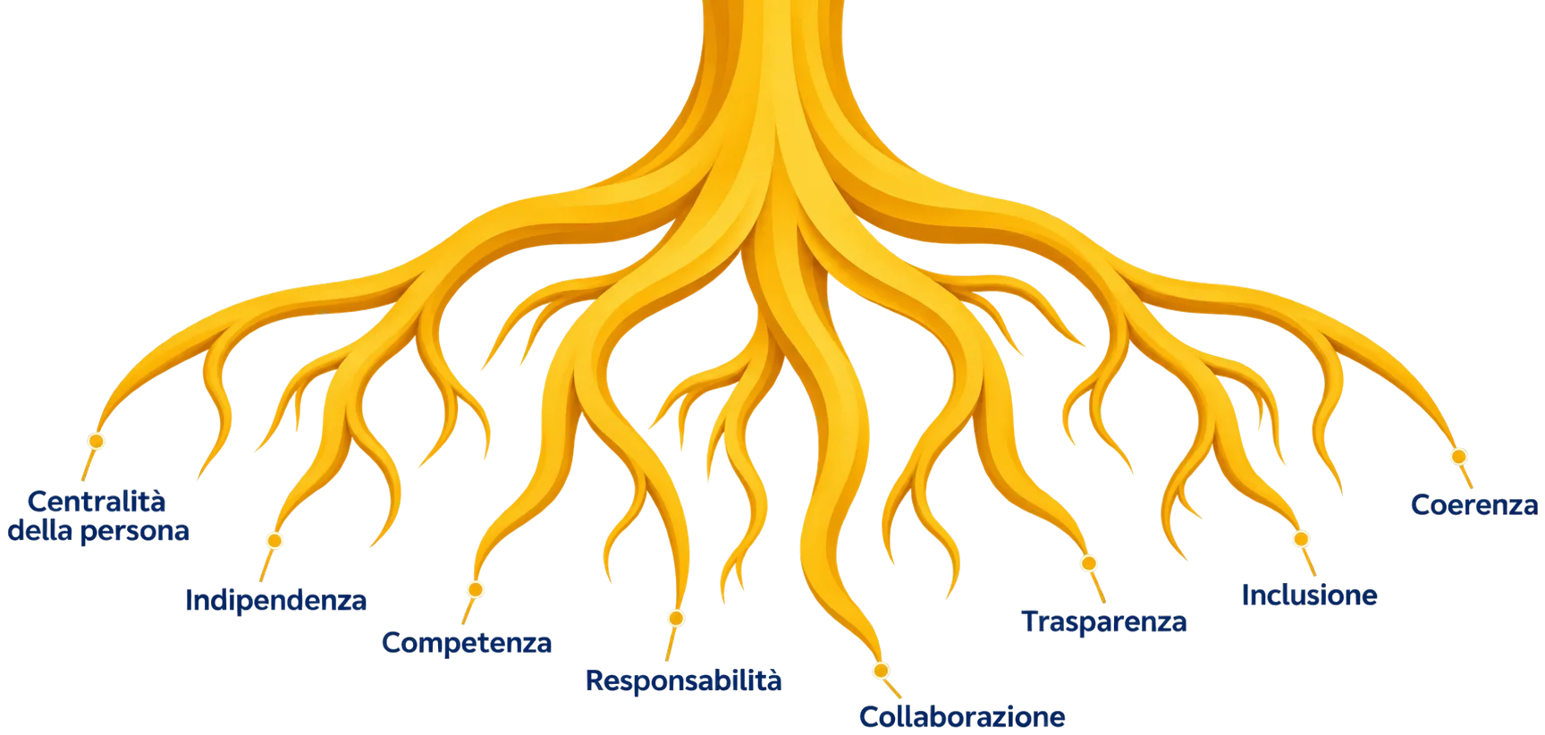 Le radici dei nostri otto valori: centralità della persona, indipendenza, competenza, responsabilità, collaborazione, trasparenza, inclusione, coerenza